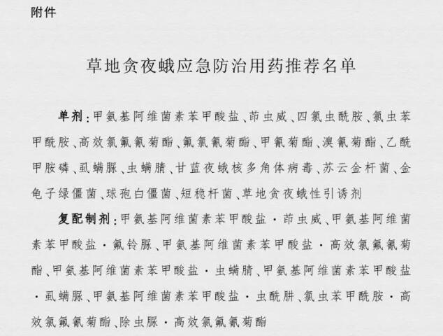 卷土重来!草地贪夜蛾入侵 影响哪些省份?用什么药最有效?