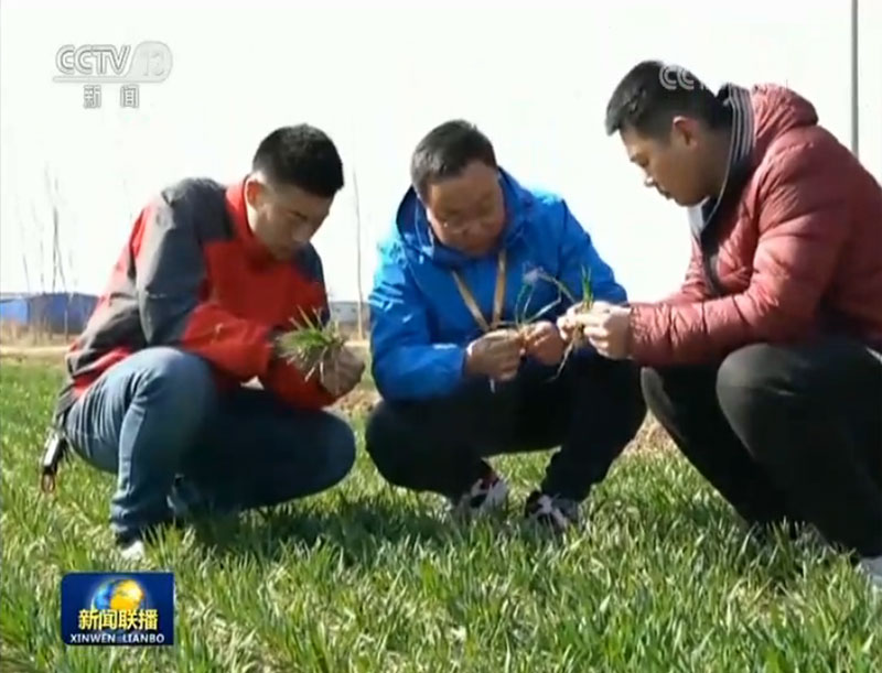 科技春耕 服务更精准