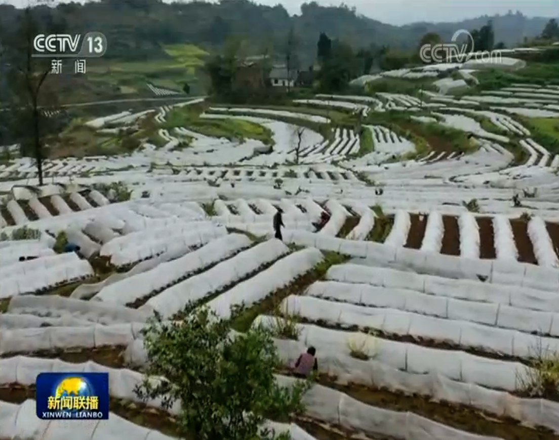 春耕备耕正当时