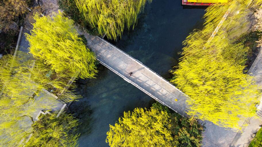 济南：雨后气温回升春色满园