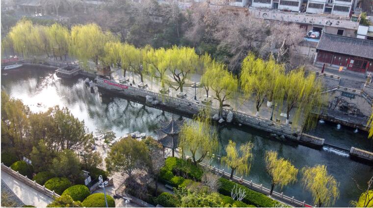 济南：雨后气温回升春色满园
