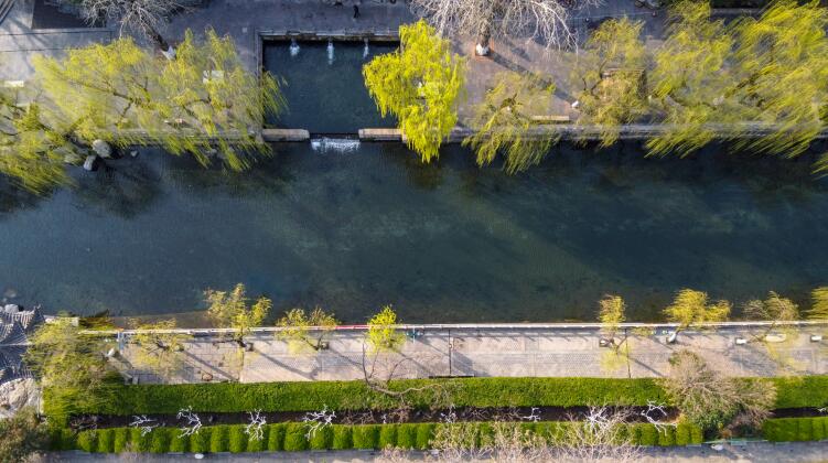 济南：雨后气温回升春色满园
