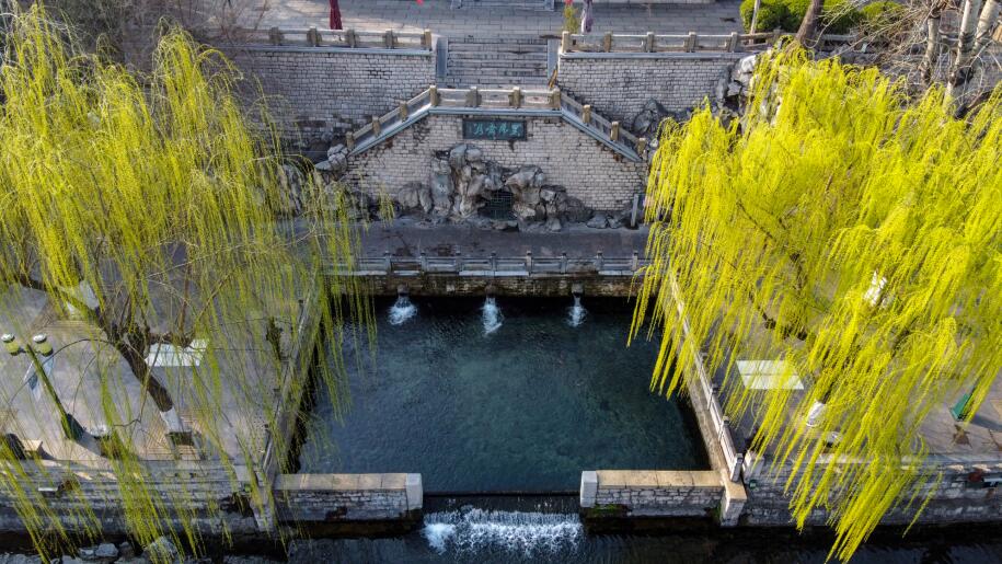 济南：雨后气温回升春色满园