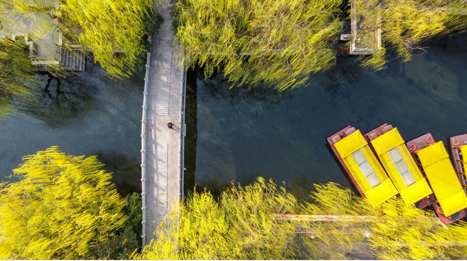 济南：雨后气温回升春色满园