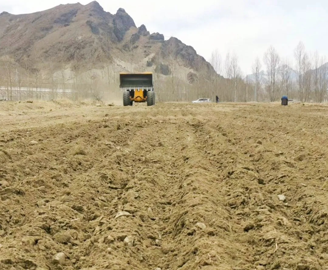 山南市高标准农田建设项目陆续复工