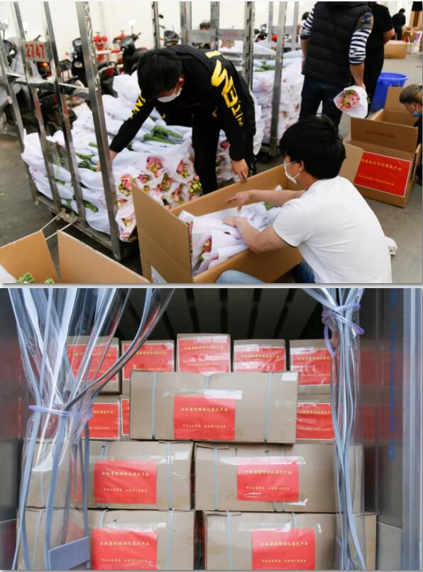 一路向北三千里，我把春天送给你