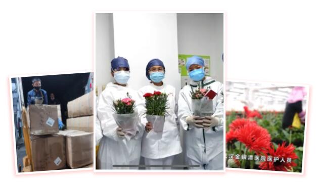 一路向北三千里，我把春天送给你