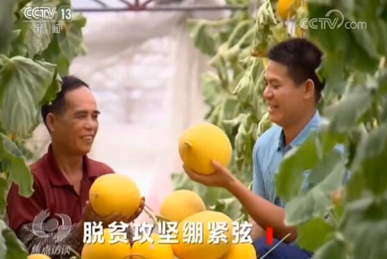 虽在疫情之下 但这件事不能按下“暂停键”