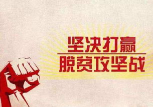 大众日报评论员观察