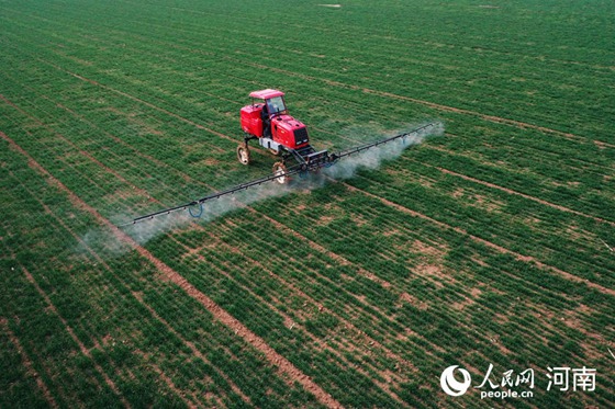 河南：守住“三农”基本盘 打赢疫情阻击战