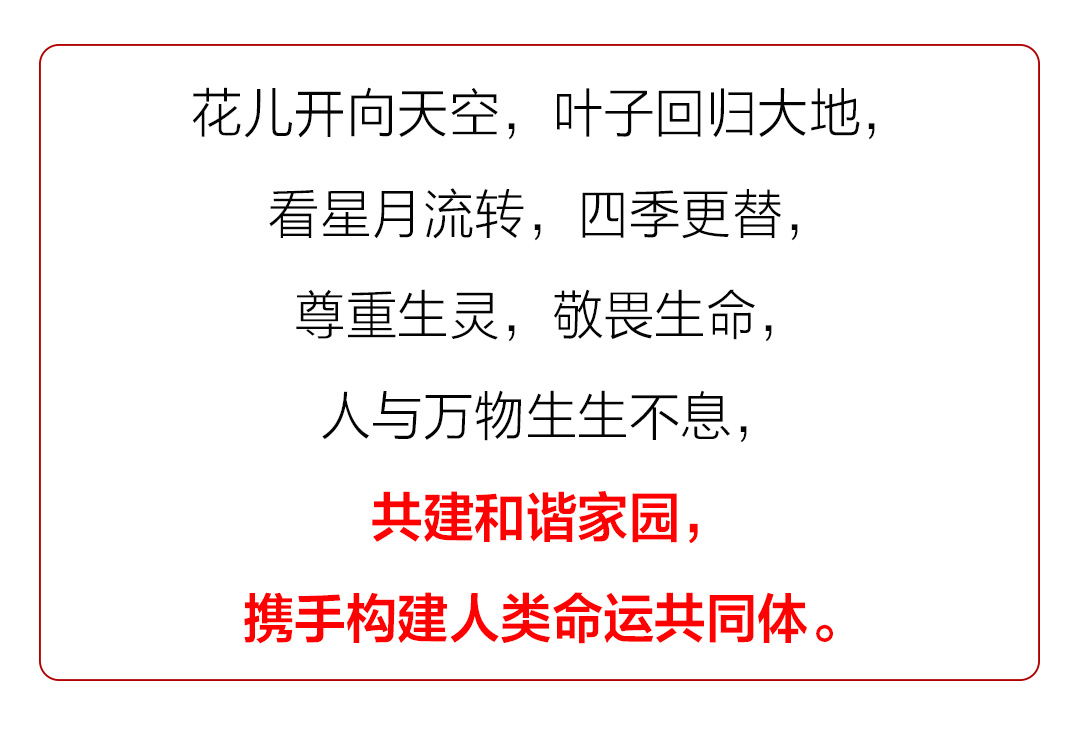 “众志成城 共克时艰”山东抗击疫情公益广告展播（45）：【MV】《生生不息》