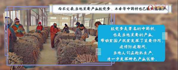 战疫故事“绘”丨战疫情不负春光 脱贫一线播撒希望