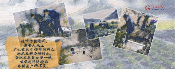 战疫故事“绘”丨战疫情不负春光 脱贫一线播撒希望