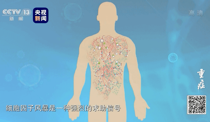 独家调查丨重症