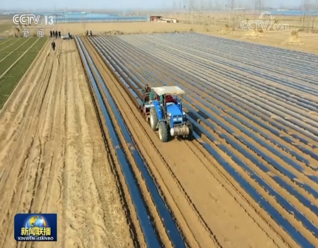 我国春播由南向北大面积展开