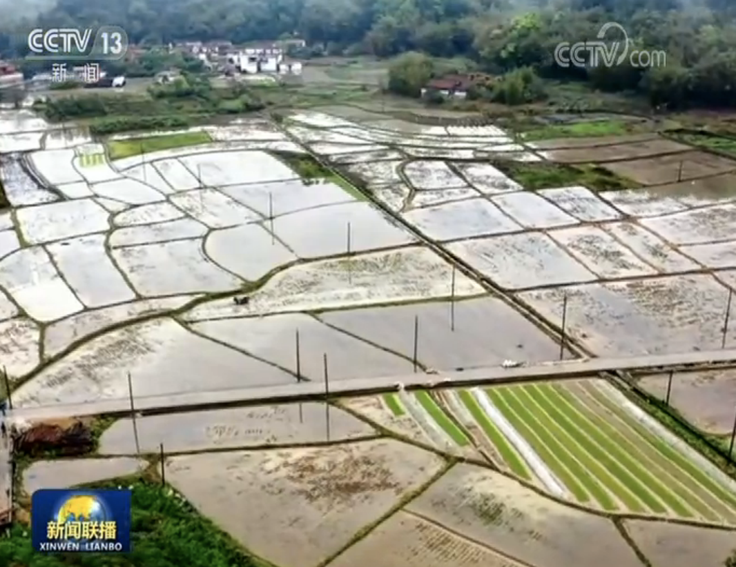 我国春播由南向北大面积展开