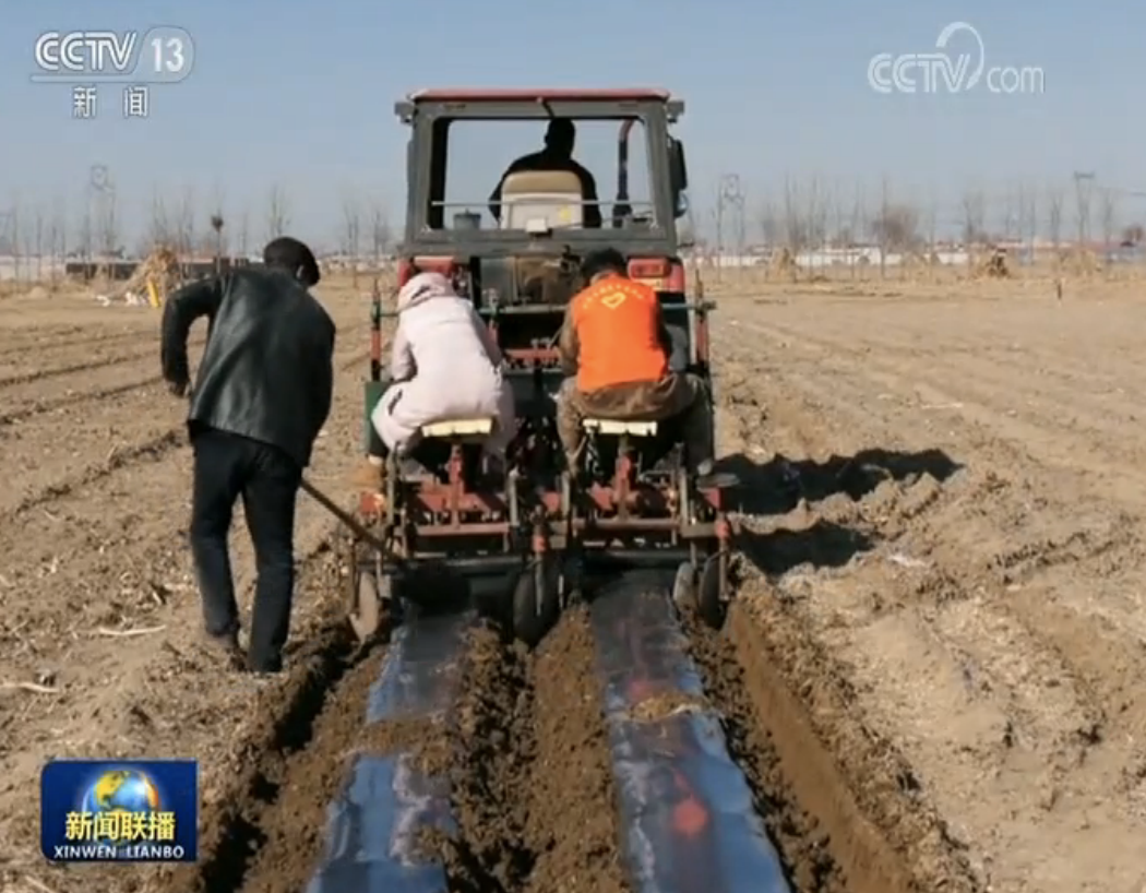 我国春播由南向北大面积展开