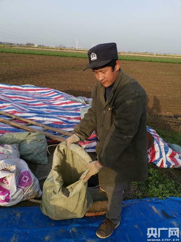 战疫情 农业大市湖北荆州一手去库存一手备春耕