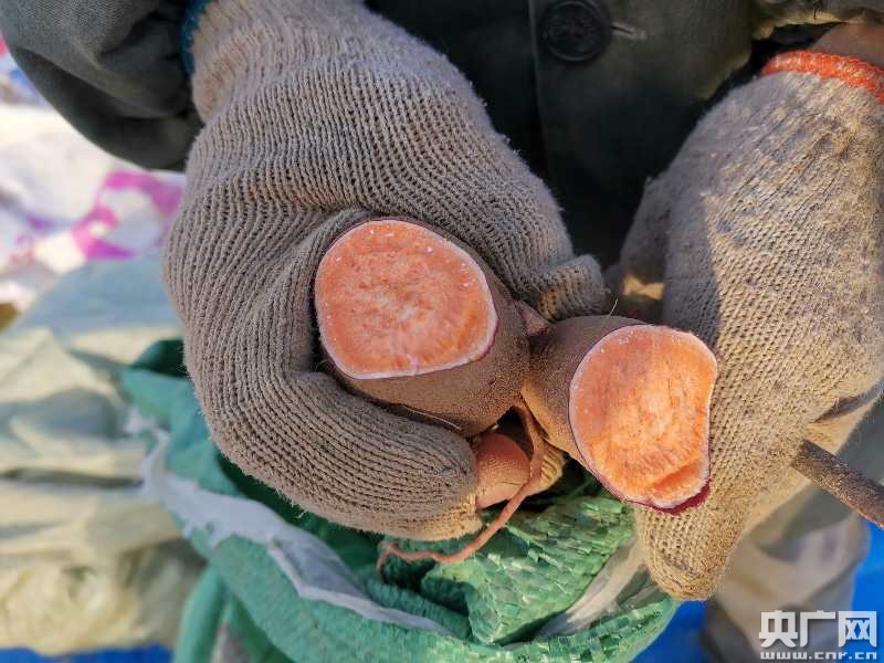 战疫情 农业大市湖北荆州一手去库存一手备春耕