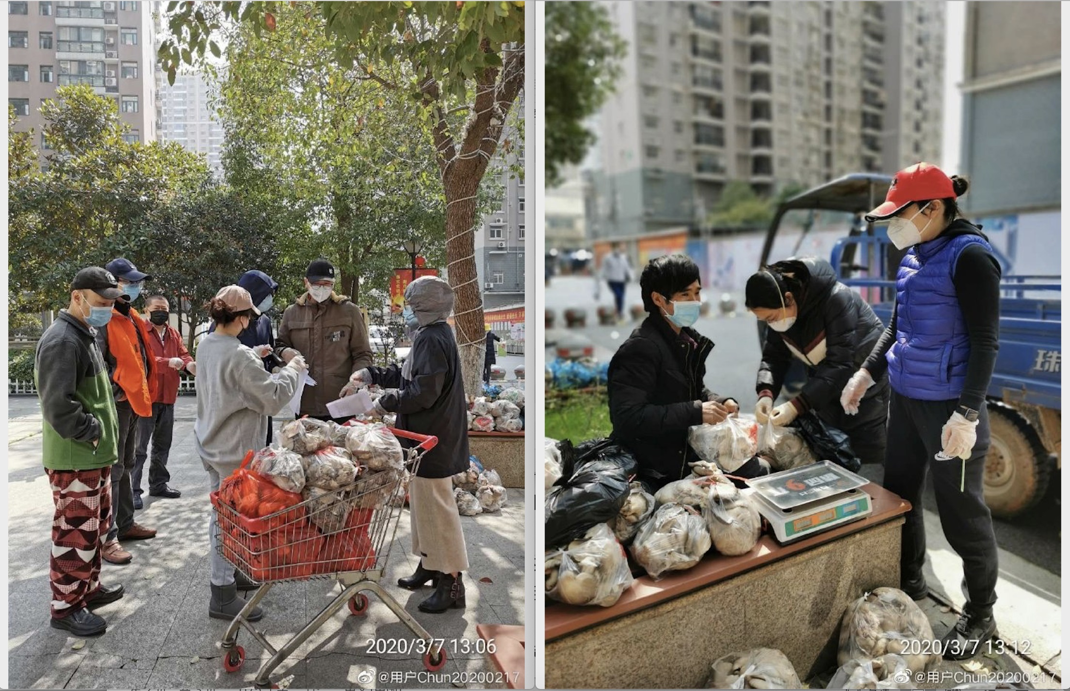 武汉小事｜“因为鲜活的你我，日子才闪闪发光”