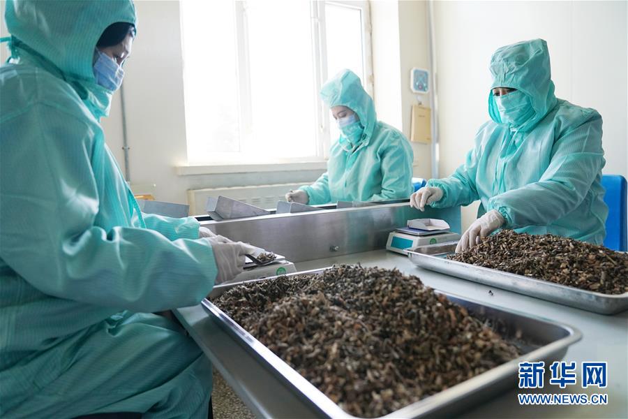 黑龙江产值亿元以上大型制药企业全部复工复产