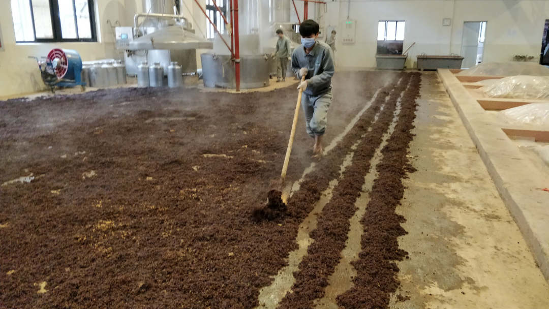 记者走访贵州多地——复工复产正加速