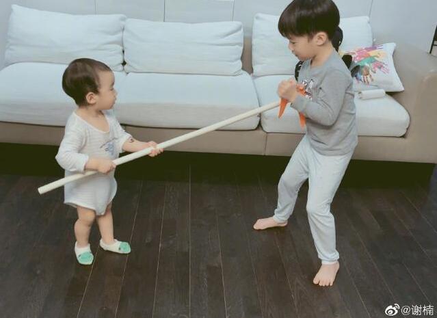 画风喜人！吴京cos恐龙给孩子看 谢楠：我快阻止不了全武行了