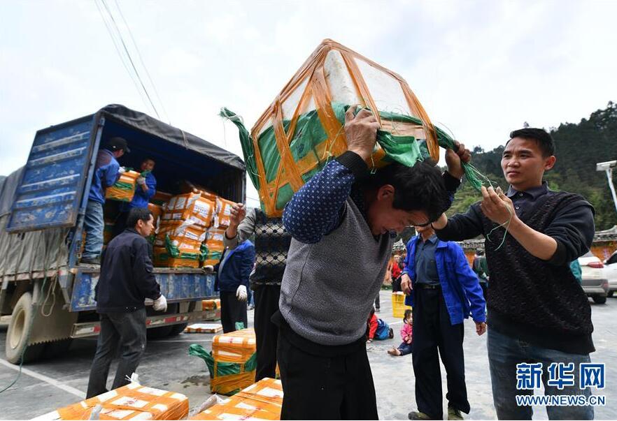 苗山脱贫影像志——春到苗寨 脱贫提速