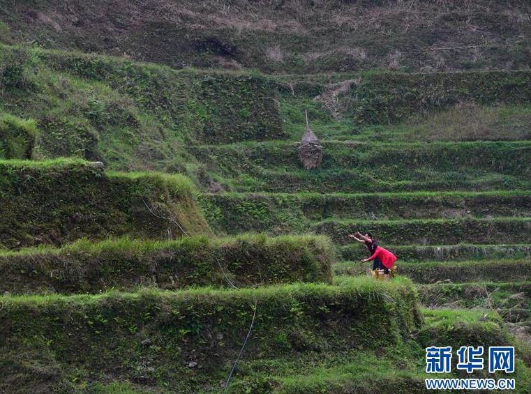 苗山脱贫影像志——春到苗寨 脱贫提速