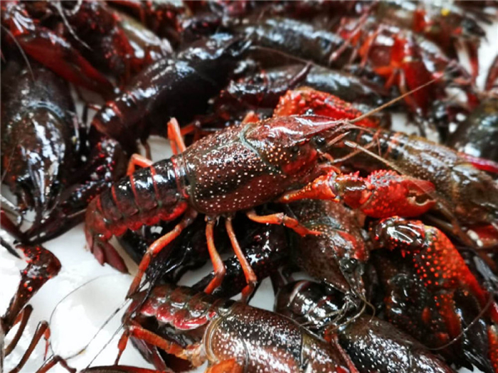 小龙虾、莲藕、脐橙…… “鄂货”等你来盘它！