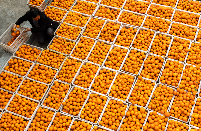 小龙虾、莲藕、脐橙…… “鄂货”等你来盘它！