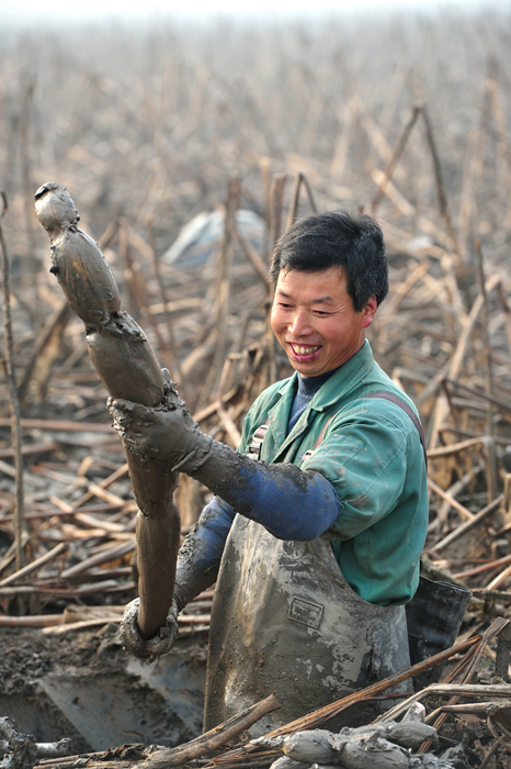小龙虾、莲藕、脐橙…… “鄂货”等你来盘它！