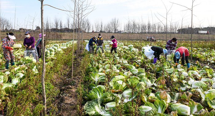 小龙虾、莲藕、脐橙…… “鄂货”等你来盘它！