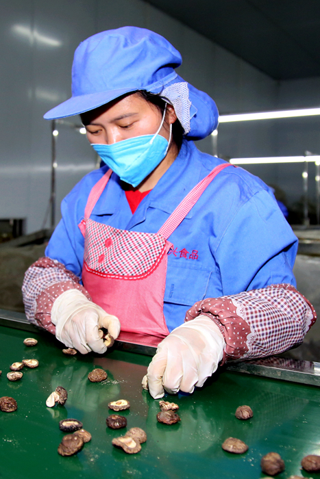 小龙虾、莲藕、脐橙…… “鄂货”等你来盘它！