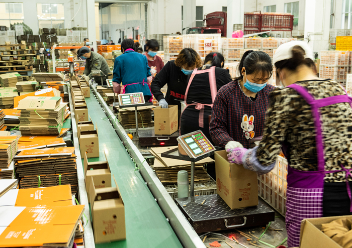 小龙虾、莲藕、脐橙…… “鄂货”等你来盘它！