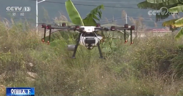 广东：3200万亩春耕农田春播计划已完成6成