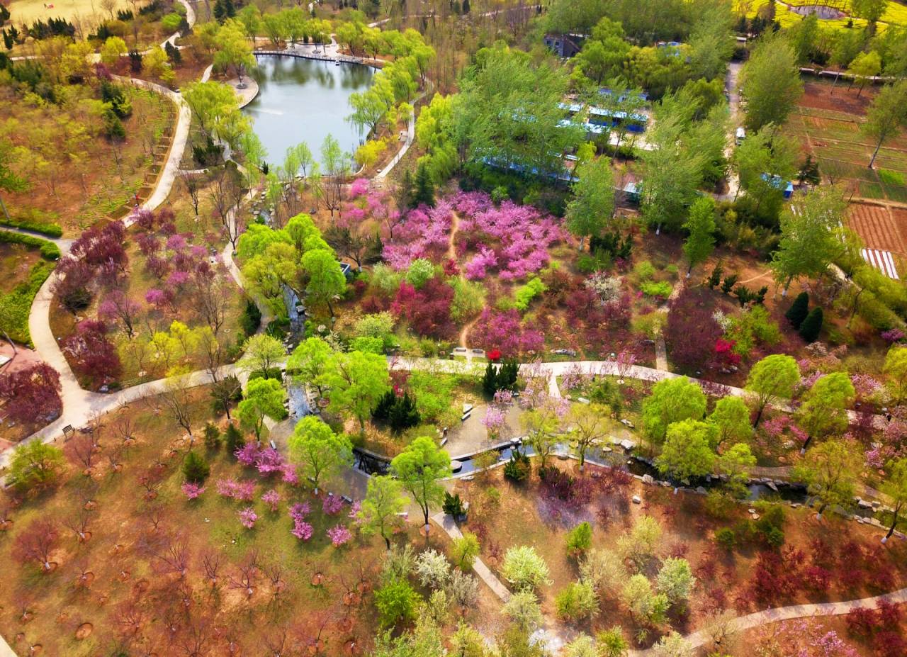 以"踏青赏花寻春色,芳菲醉美植物园"为主题的第14届济南植物园春季