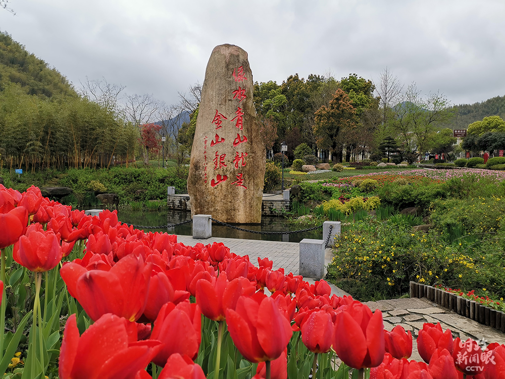 ​时政新闻眼丨从五个关键词读懂习近平浙江之行