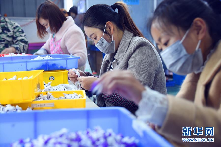 湖北恩施：“扶贫工厂”复工就业忙