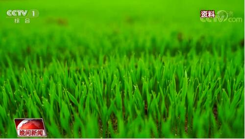 权威数据告诉你 我们为什么不用囤粮