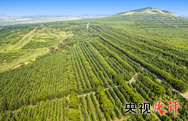 【央视快评】努力打造青山常在、绿水长流、空气常新的美丽中国