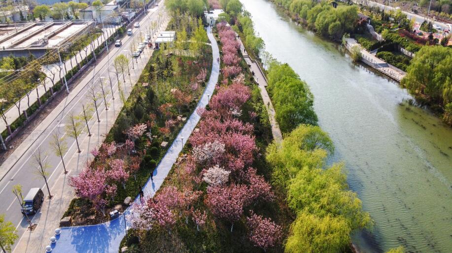 济南：静享乐活“绽放” 土坡河堤变身休闲公园