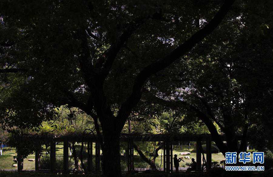 武汉又闻悠扬乐曲声