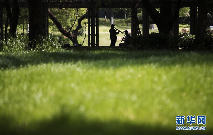 武汉又闻悠扬乐曲声