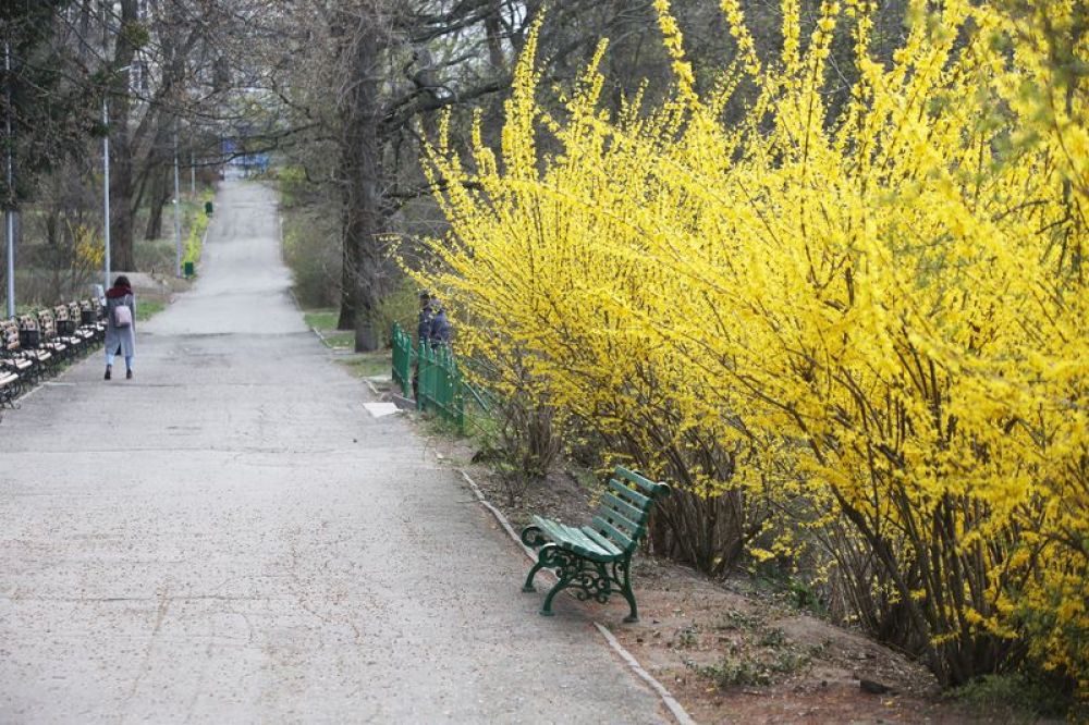 不确定因素交织——全球抗疫大考之亚欧篇