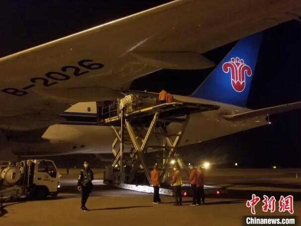 “欣慰！”江城重启，海外侨胞有话说……