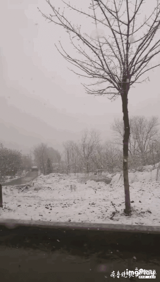 下雪啦!潍坊青州四月飘起雪花,网友:路边都变白了!