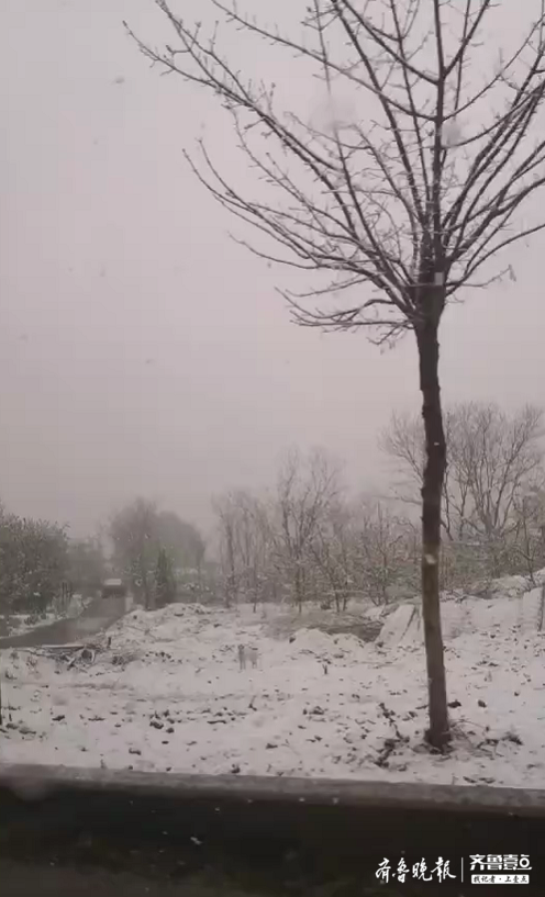 下雪啦！潍坊青州四月飘起雪花，网友：路边都变白了！