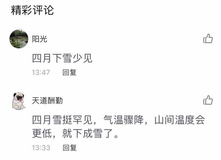 下雪啦！潍坊青州四月飘起雪花，网友：路边都变白了！