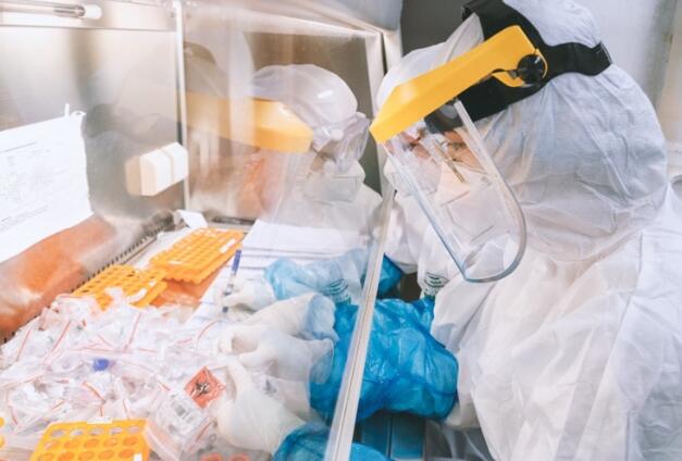 深圳战疫情保发展中的企业尖兵